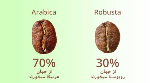 عربیکا ربوستا