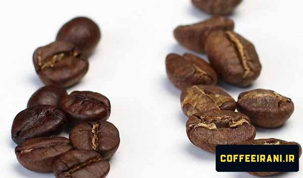 عربیکا و روبوستا