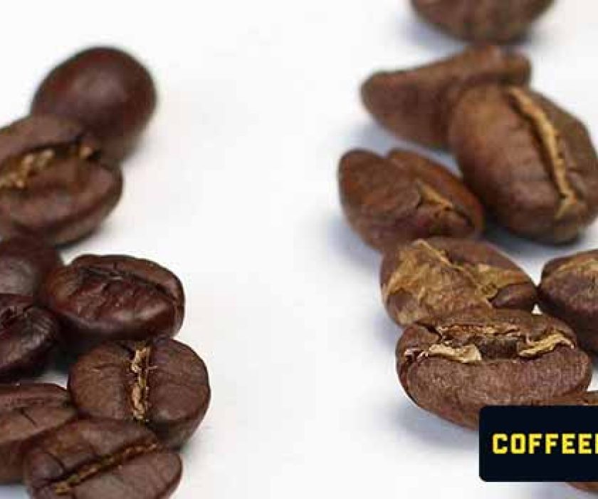 arabica-vs-robusta