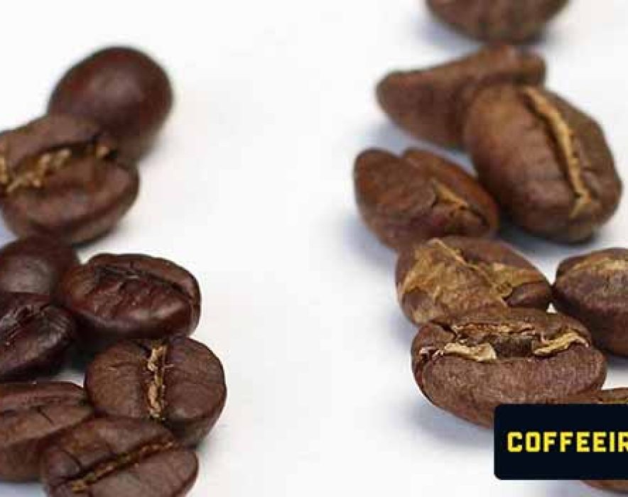 arabica-vs-robusta
