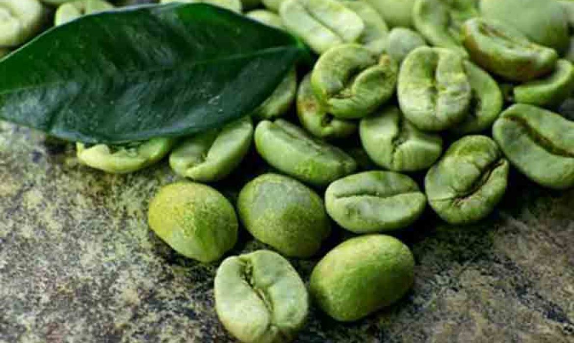 دانه قهوه سبز