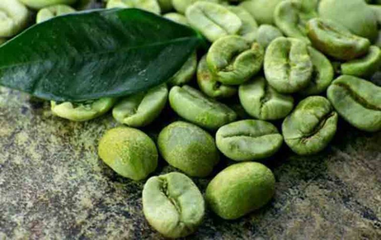 قهوه سبز و خاصیت درمانی بی نظیر آن