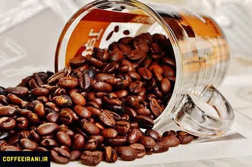 دانه قهوه مکزیک