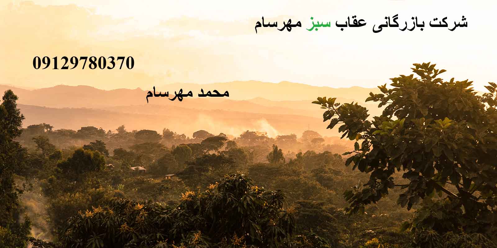 مناطق کشت قهوه در برزیل