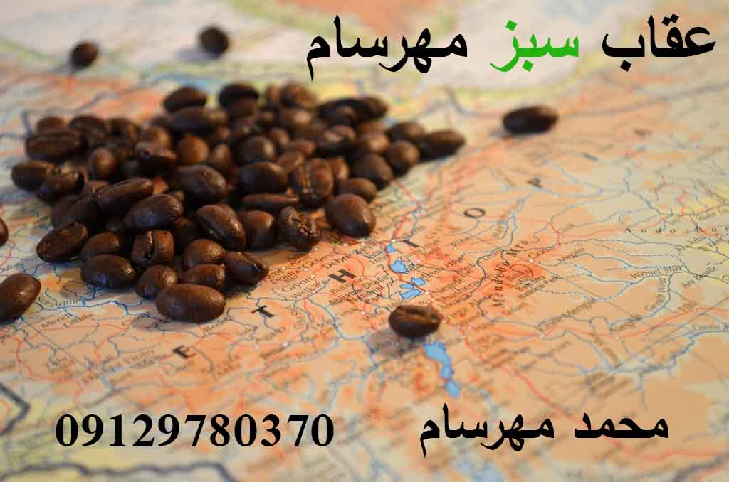 دانه قهوه اتیوپی
