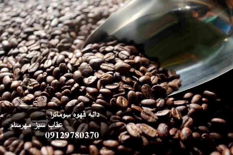 دانه قهوه سوماترا
