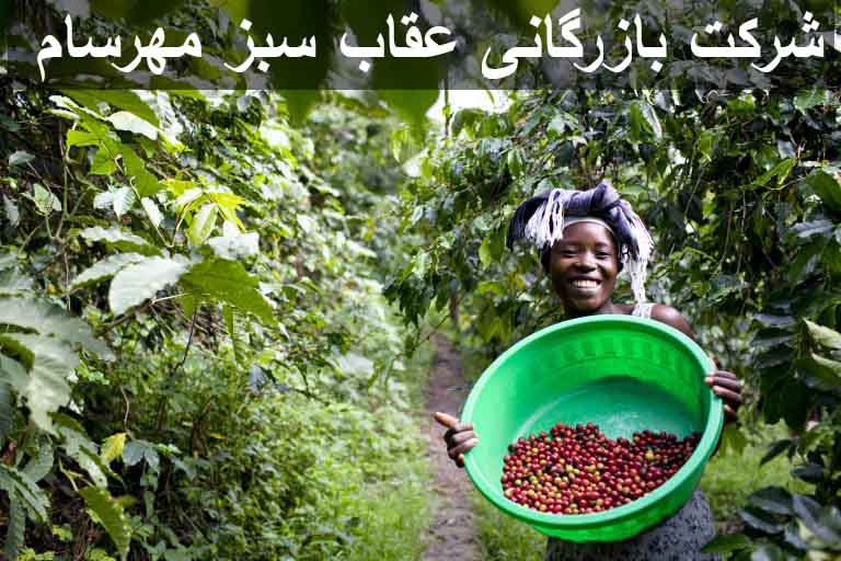 قهوه هراری