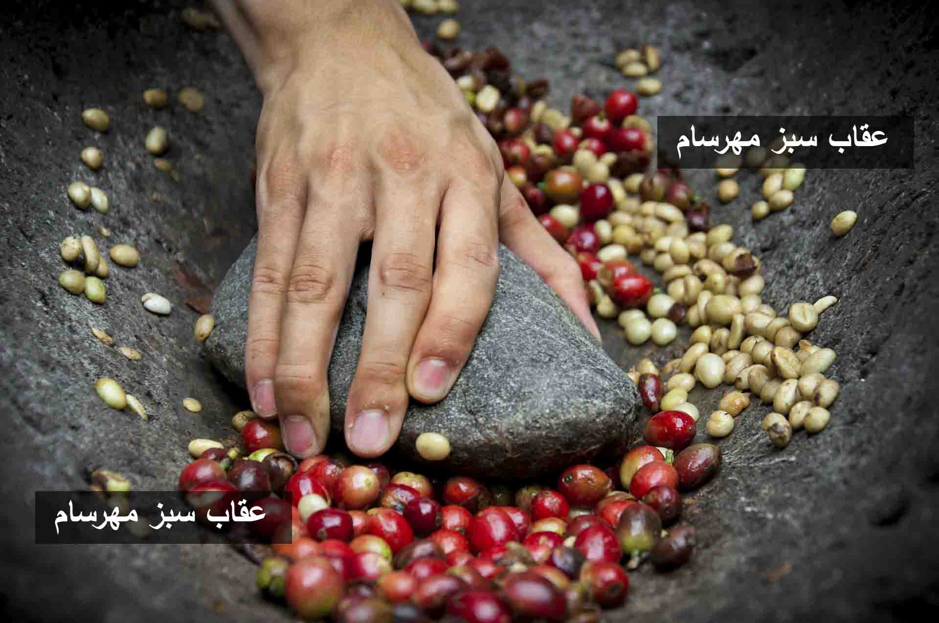 دانه قهوه اتیوپی