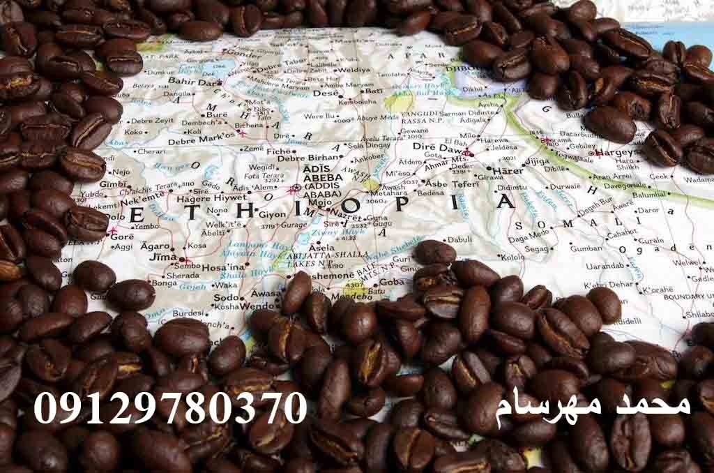 دانه قهوه اتیوپی