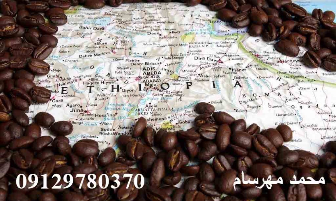 دانه قهوه اتیوپی
