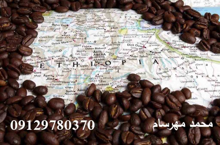دانه قهوه اتیوپی ؛ اولین دانه قهوه جهان