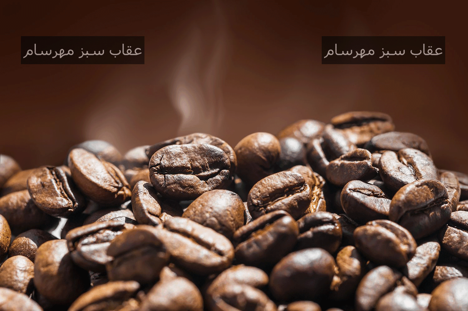 دانه قهوه ربوستا جاوه