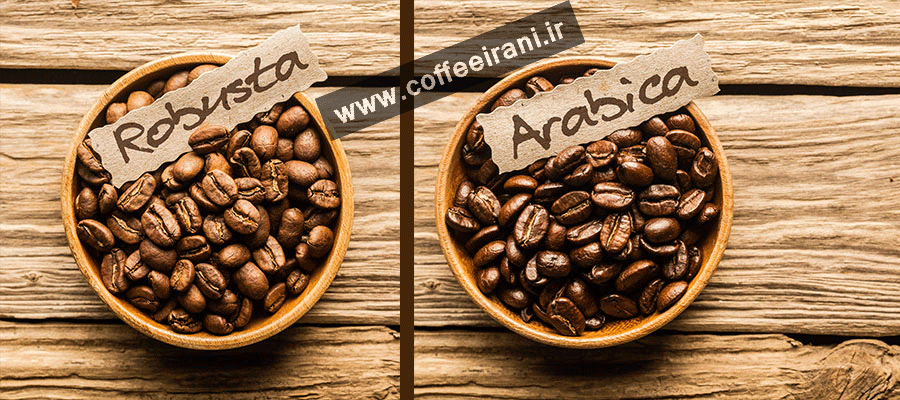 تفاوت قهوه عربیکا و ربوستا