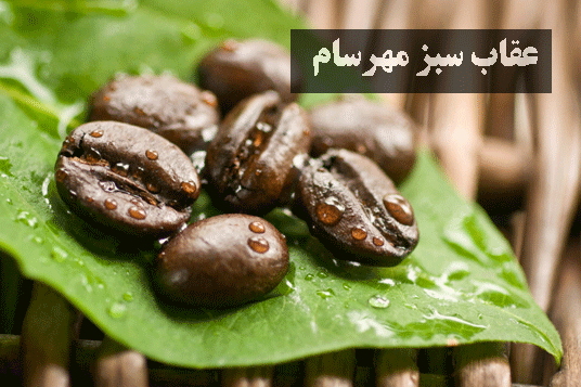 قهوه ارگانیک