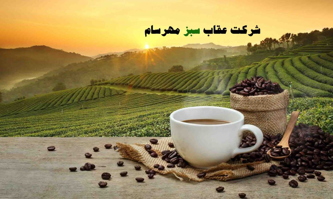 دانه قهوه ریو برزیل