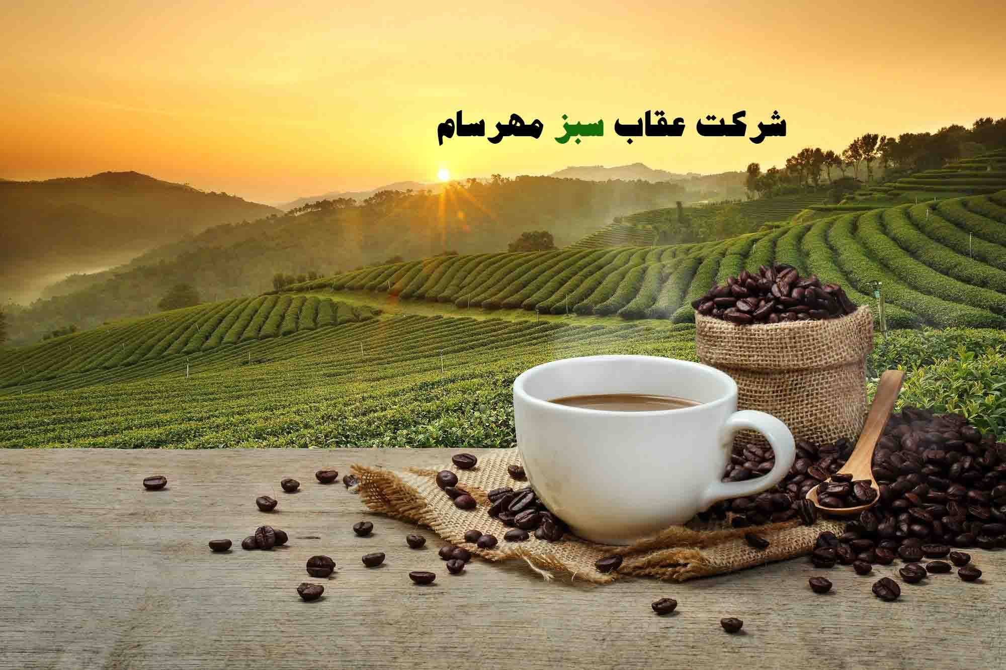 دانه قهوه ریو برزیل