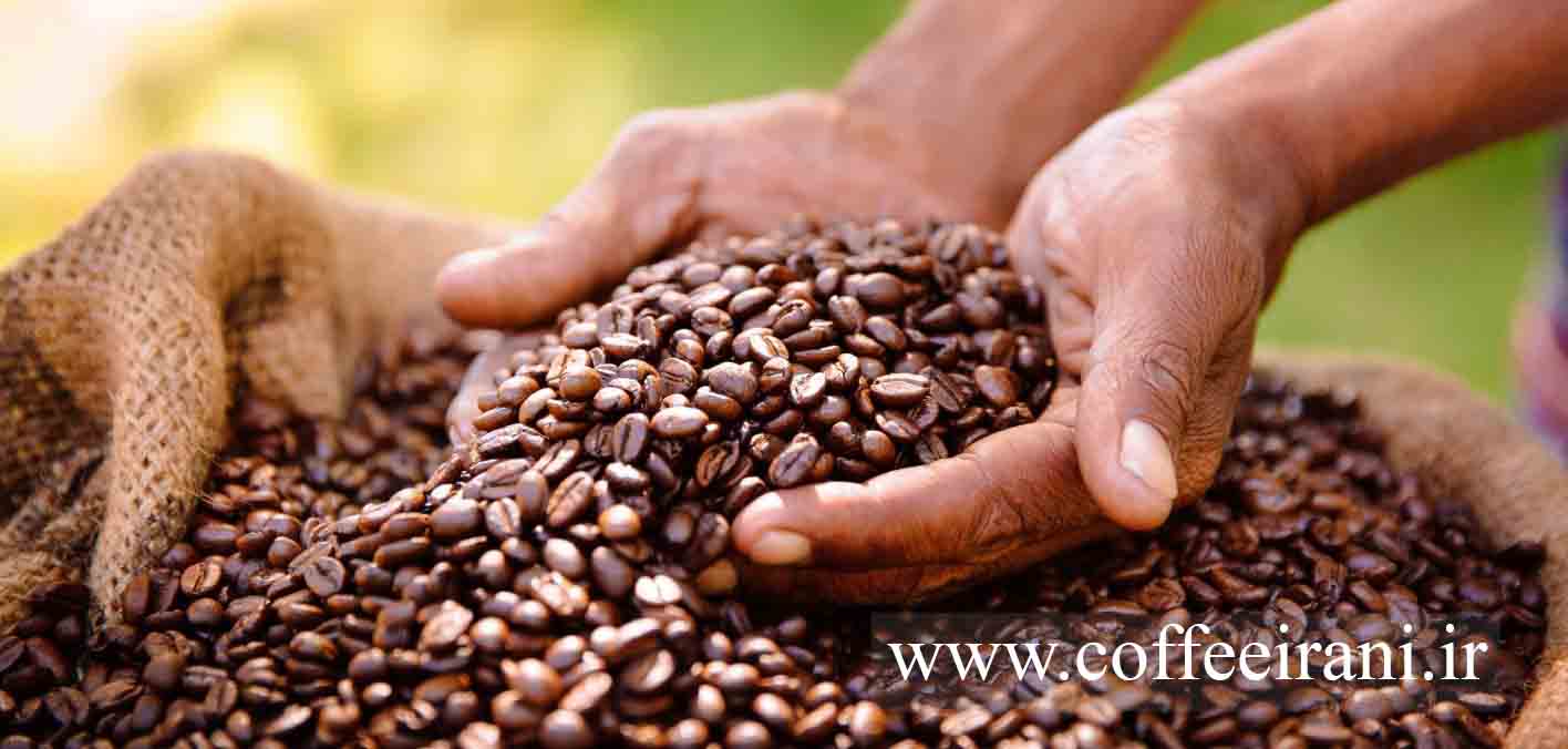 دانه قهوه ریو برزیل