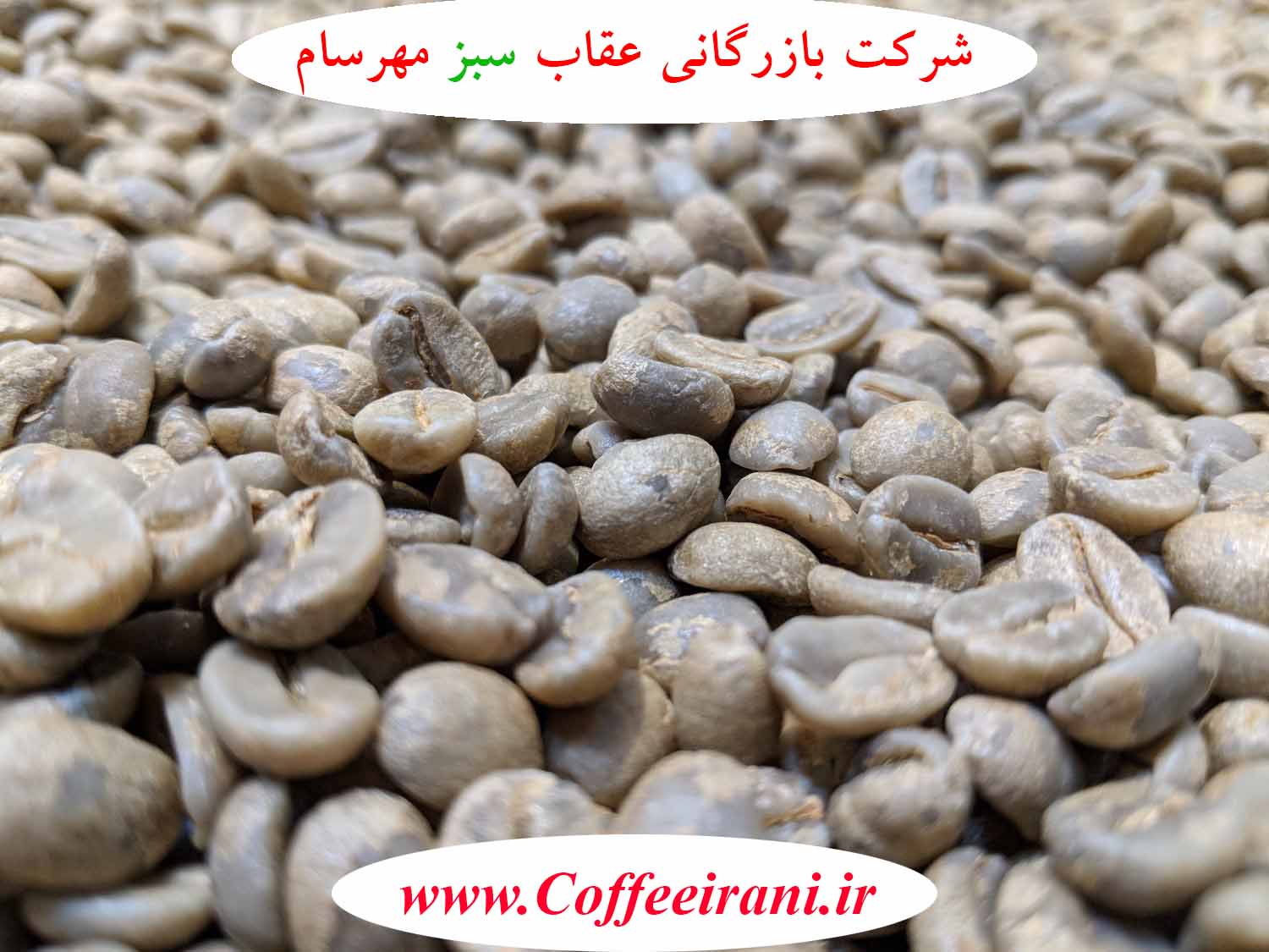 قهوه هائیتی