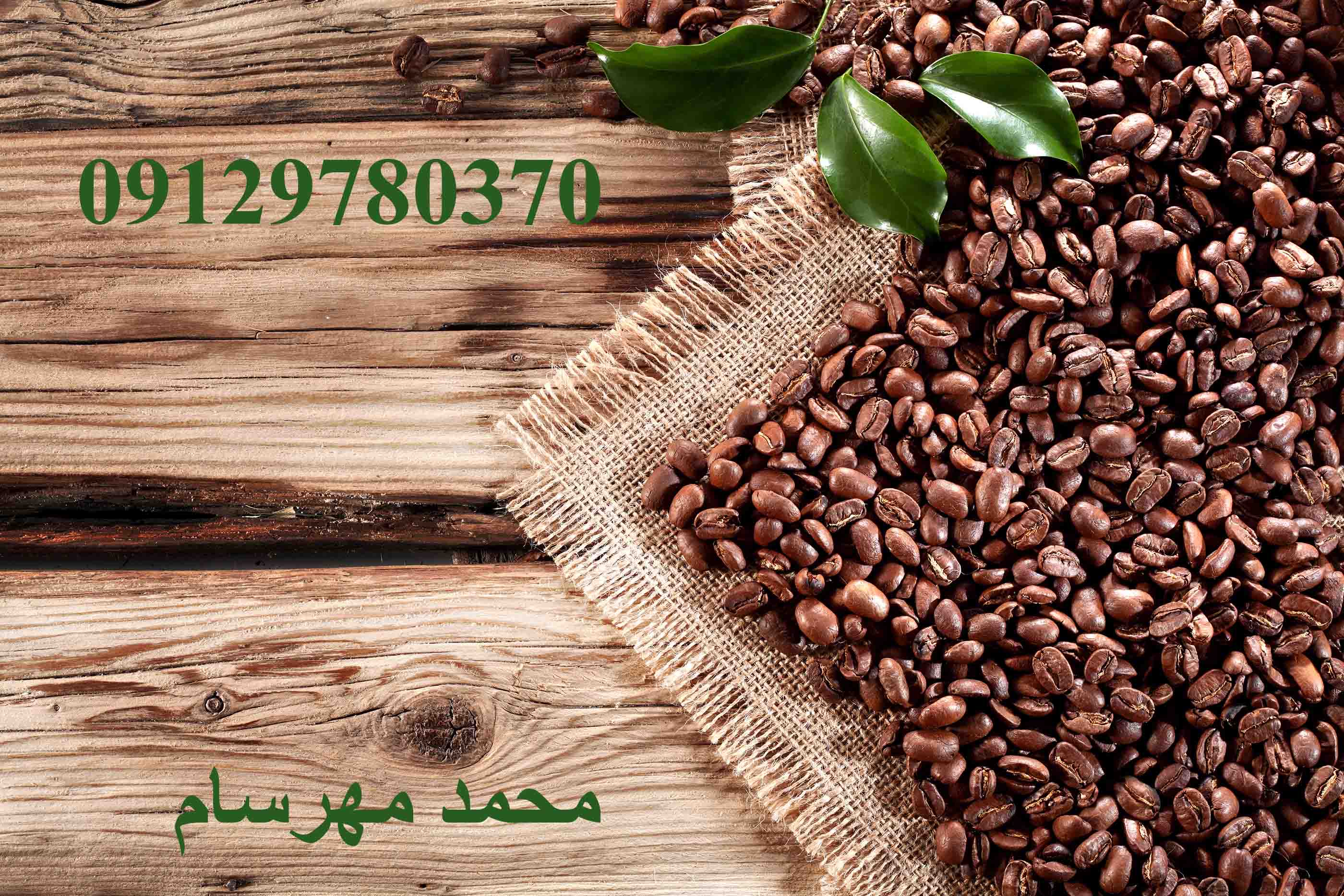 دانه قهوه گواتمالا