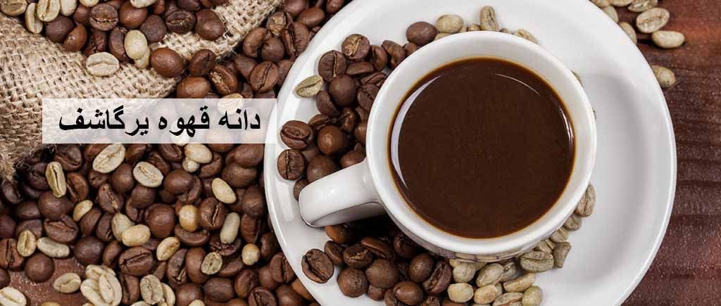 دانه قهوه یرگاشف