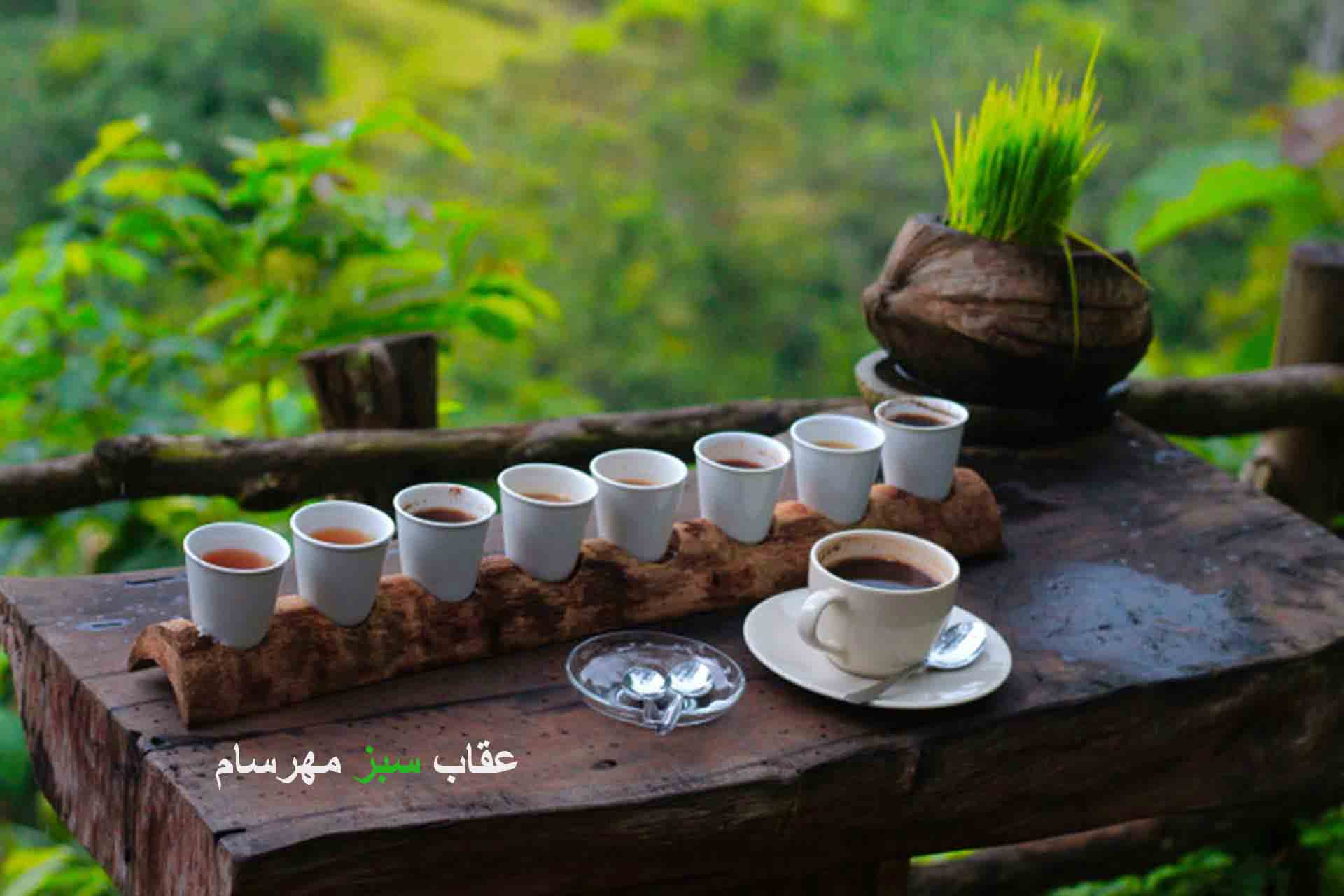 دانه قهوه کلمبیا