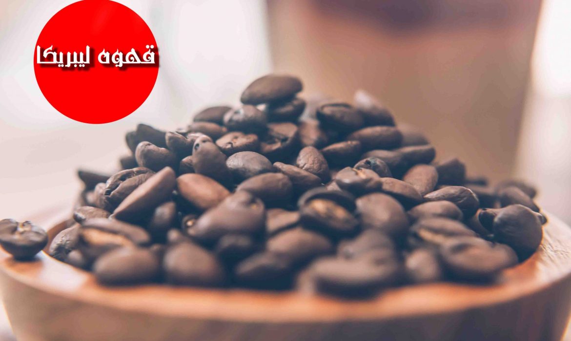 دانه قهوه لیبریکا