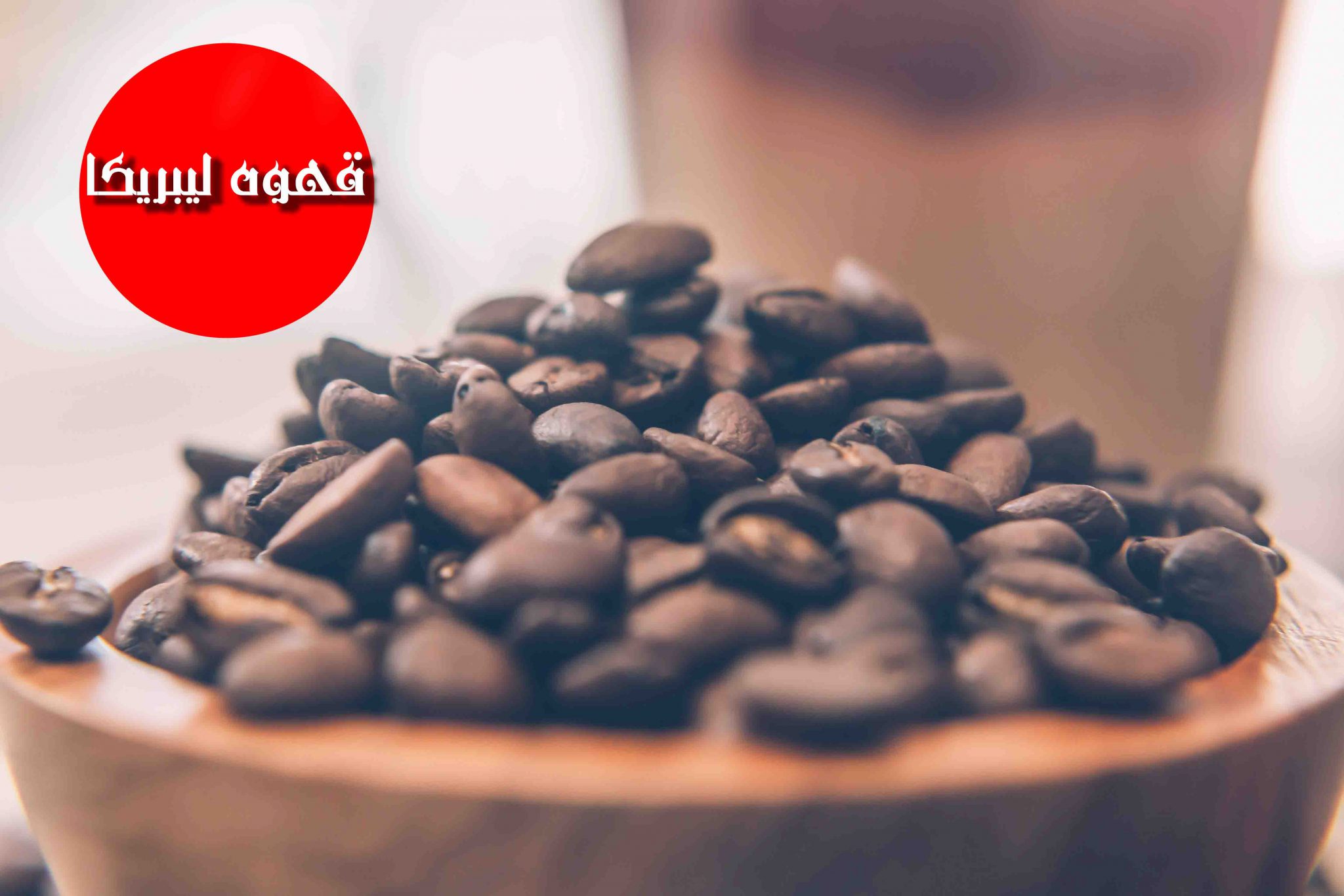 قهوه لیبریکا یا قهوه لیبریایی (Liberica Coffee)