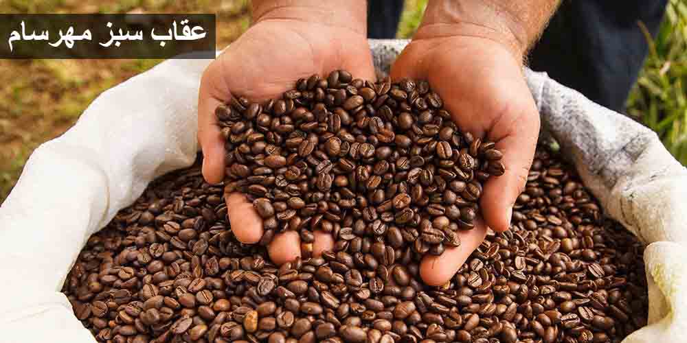 مناطق کشت قهوه برزیل