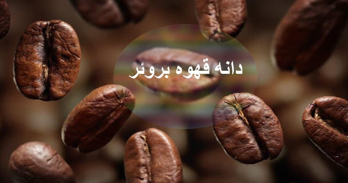 دانه قهوه بروئر