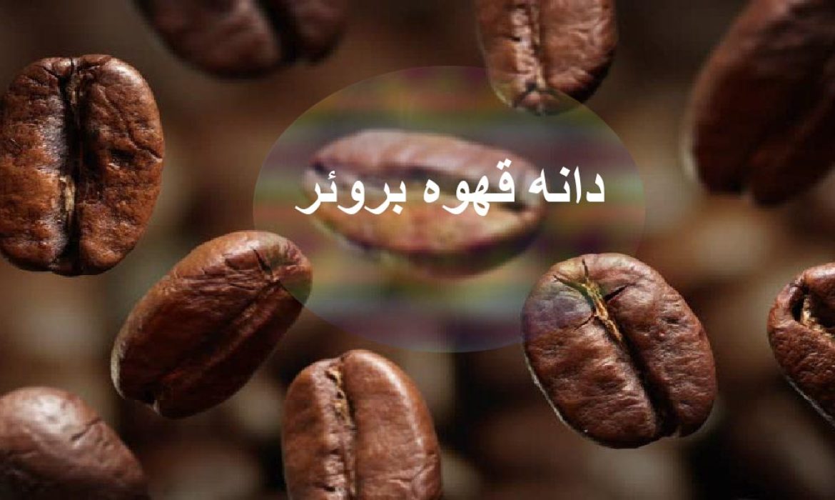 دانه قهوه بروئر
