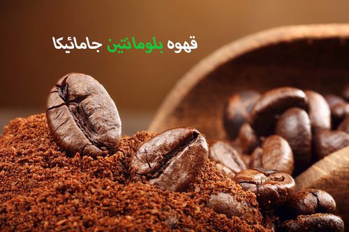 قهوه بلو مانتین جامائیکا ، ستایش شده ترین قهوه دنیا
