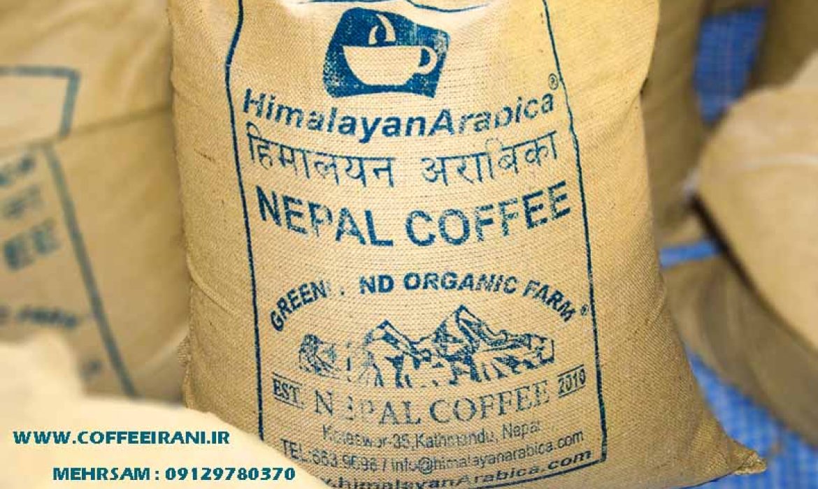 دانه قهوه نپال