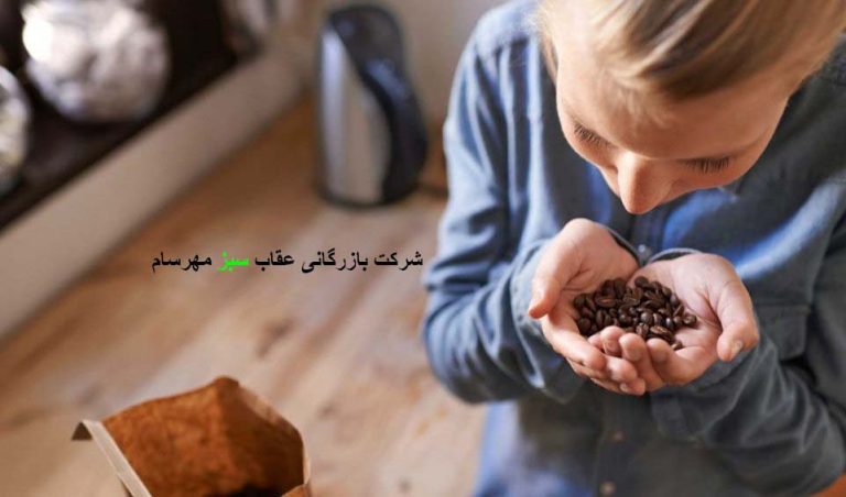 دانه قهوه غنا و مشخصات جغرافیایی این کشور