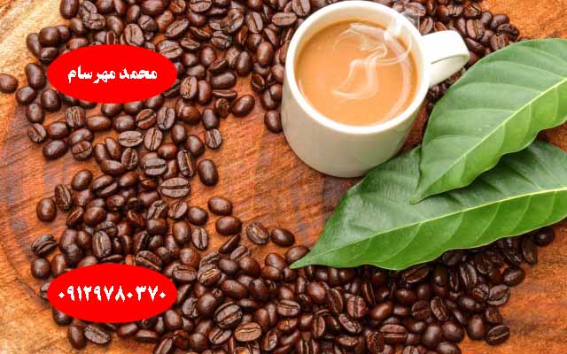 قهوه سالوادور