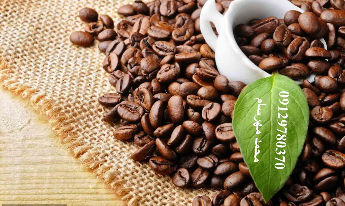 قهوه سالوادور