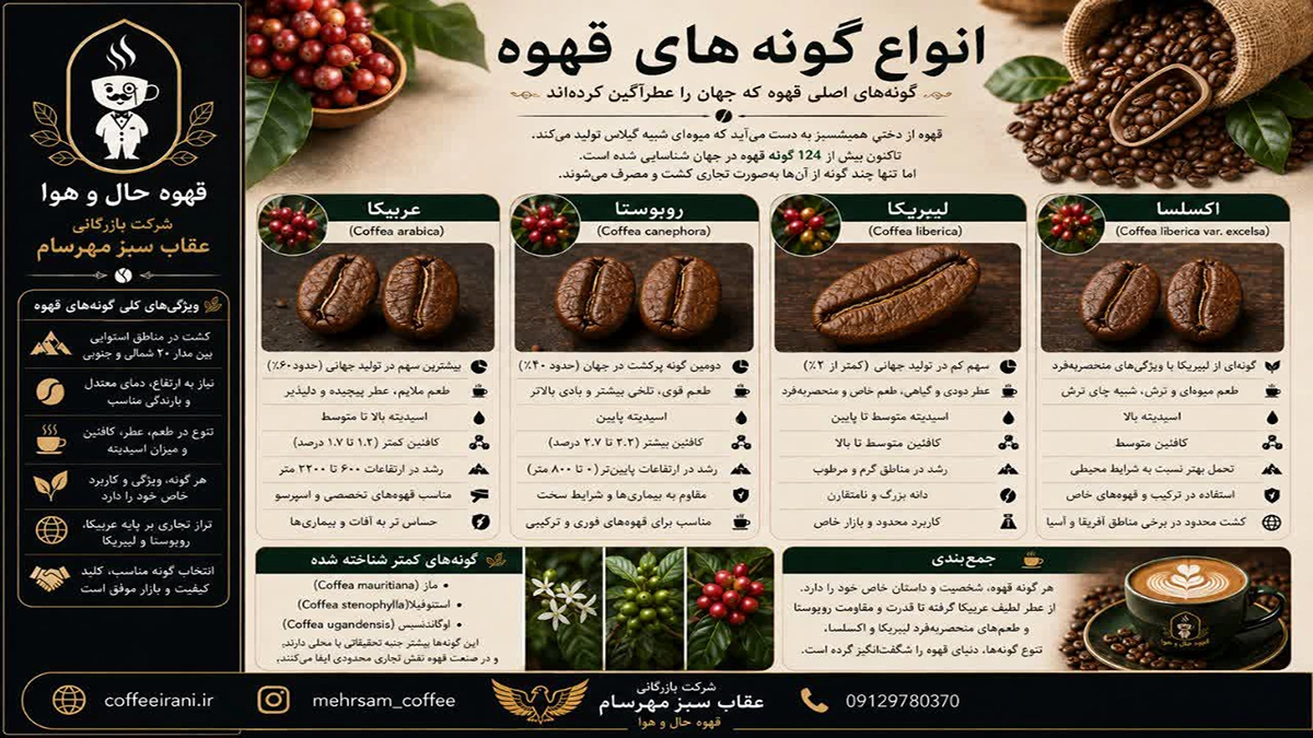 انواع گونه های قهوه