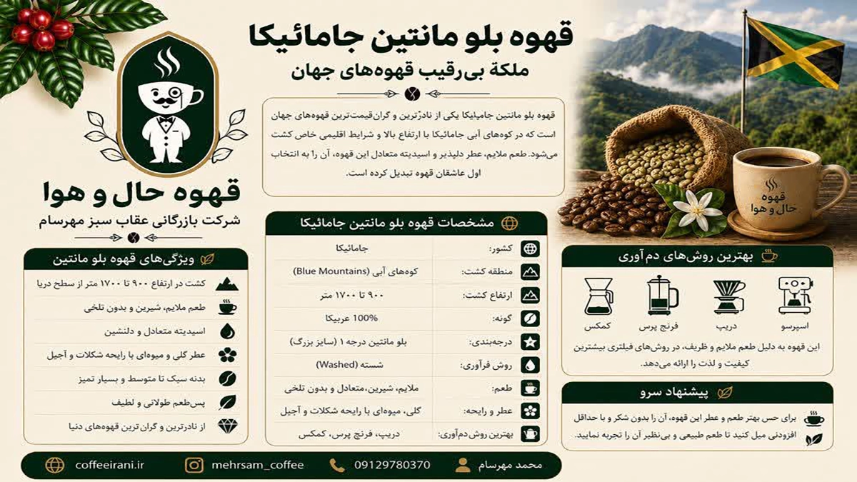 قهوه بلو مانتین جامائیکا ، ستایش شده ترین قهوه دنیا