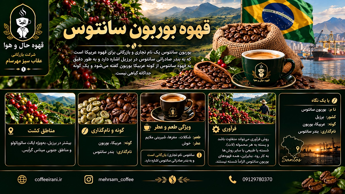 قهوه بوربون سانتوس معروف ترین قهوه در برزیل