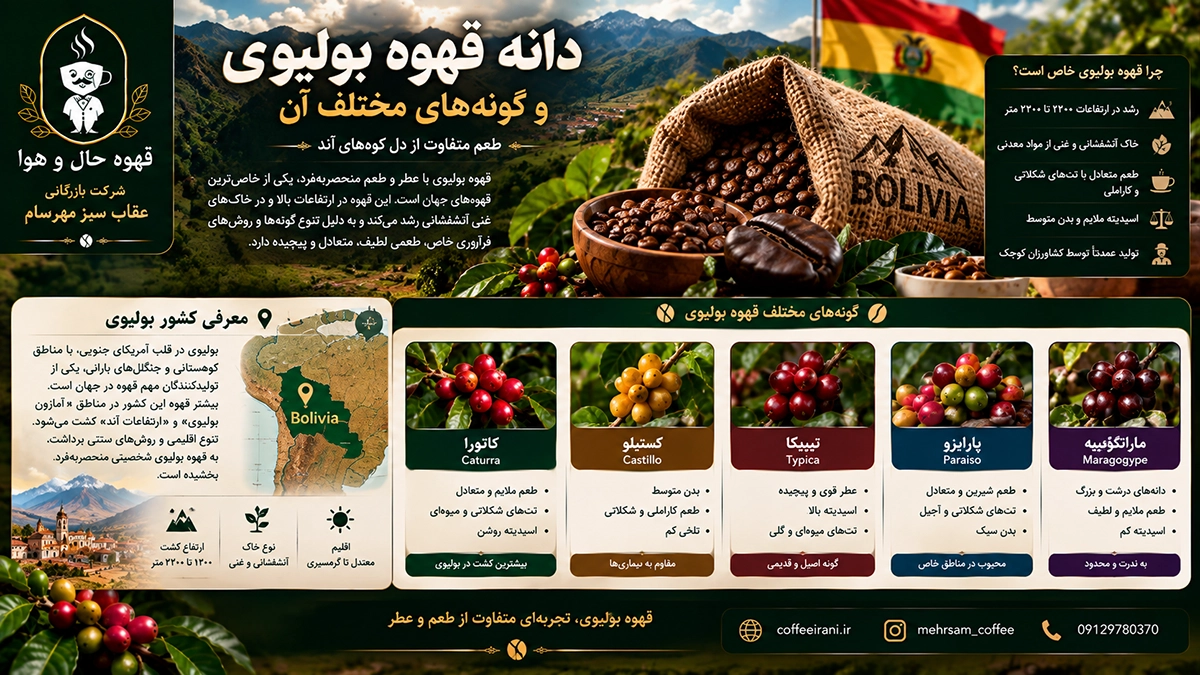 دانه قهوه بولیوی و گونه های مختلف آن