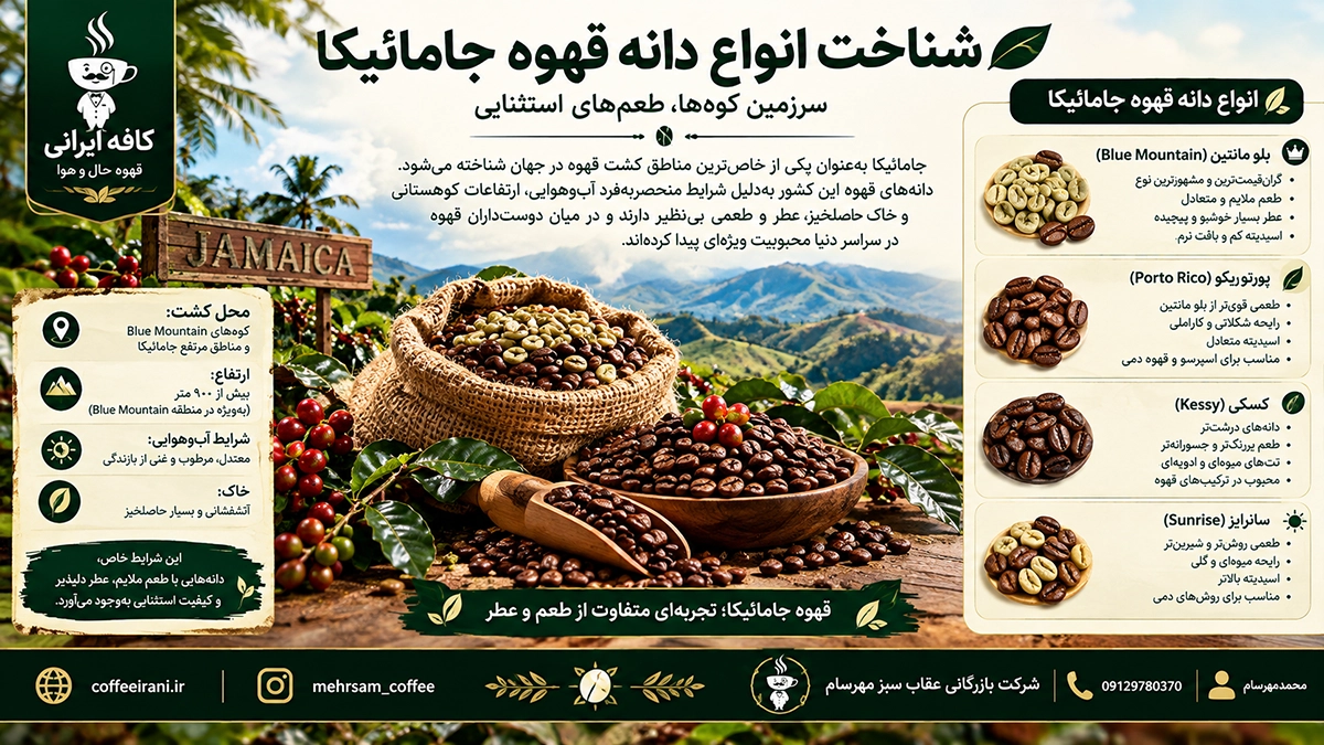 شناخت انواع دانه قهوه جامائیکا