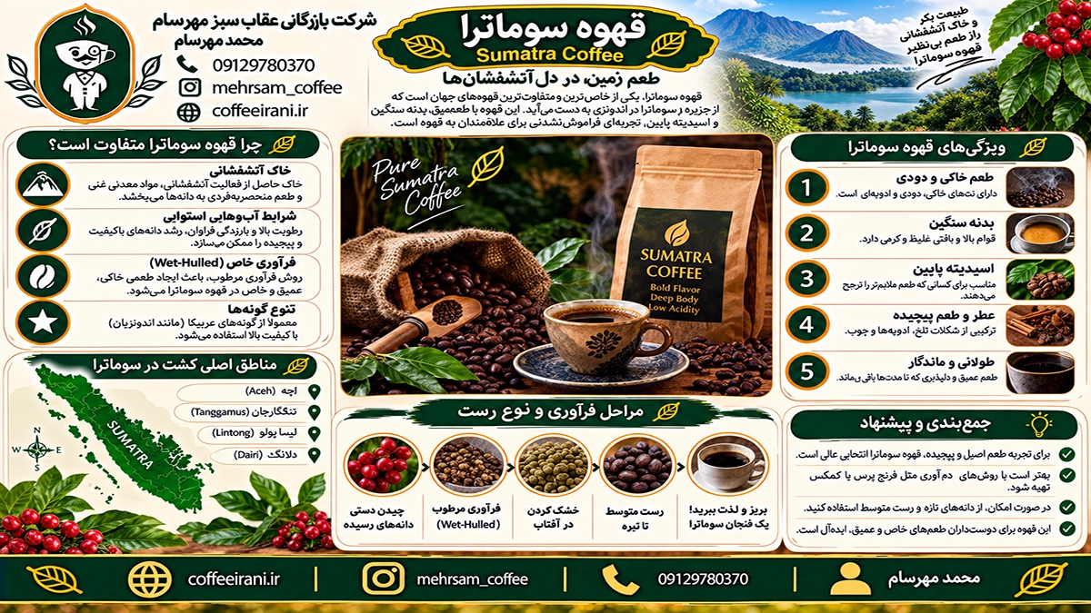 دانه قهوه سوماترا