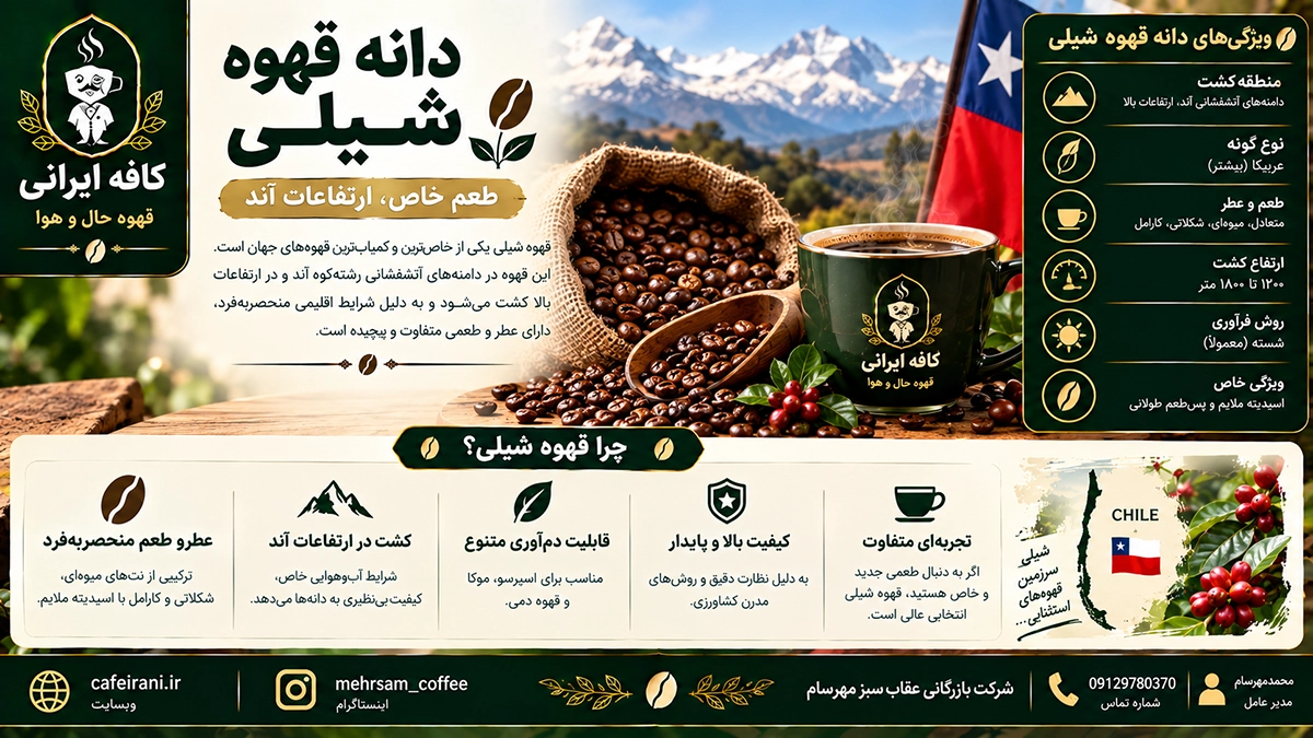 دانه قهوه شیلی قهوه ای از کشور آمریکای لاتین