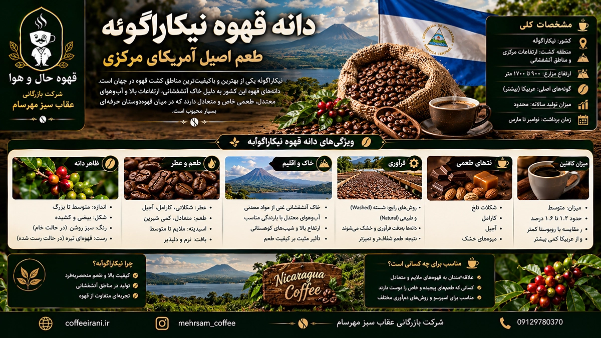 دانه قهوه نیکاراگوئه