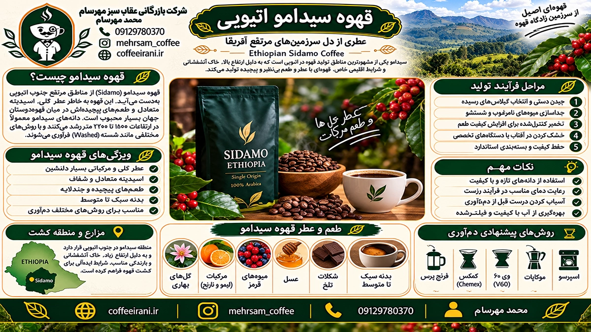 قهوه سیدامو اتیوپی – محبوب ترین قهوه در آفریقا