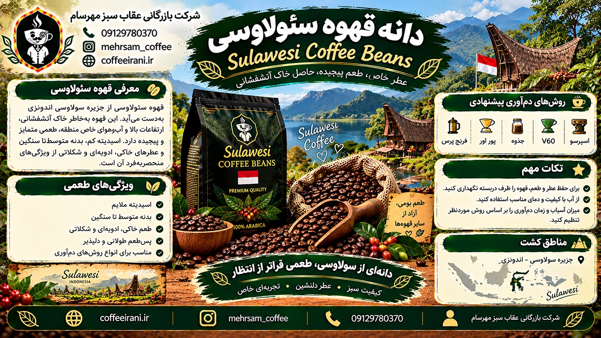 قهوه سئولاوسی و مشخصات آن