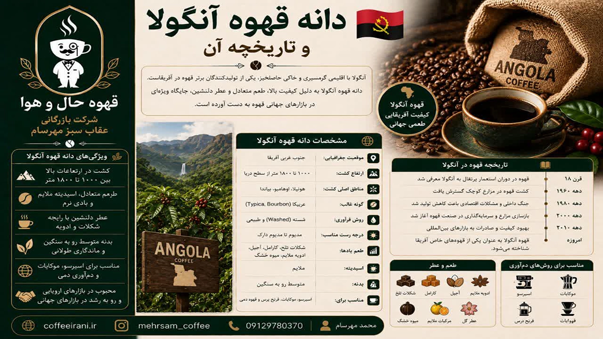 دانه قهوه آنگولا و تاریخچه آن