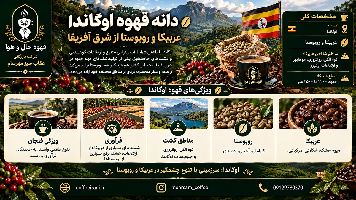 دانه قهوه اوگاندا ؛ تولید قهوه در کنار رود نیل