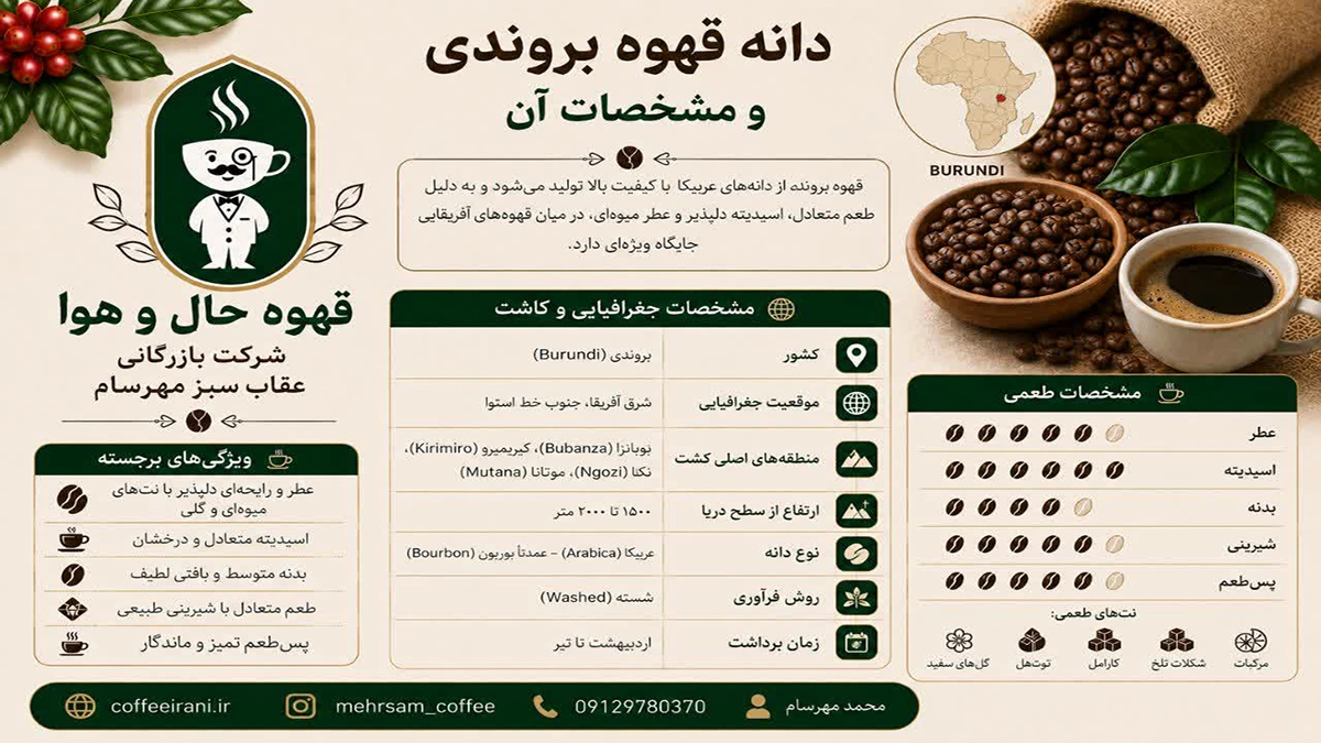 دانه قهوه بروندی و مشخصات آن