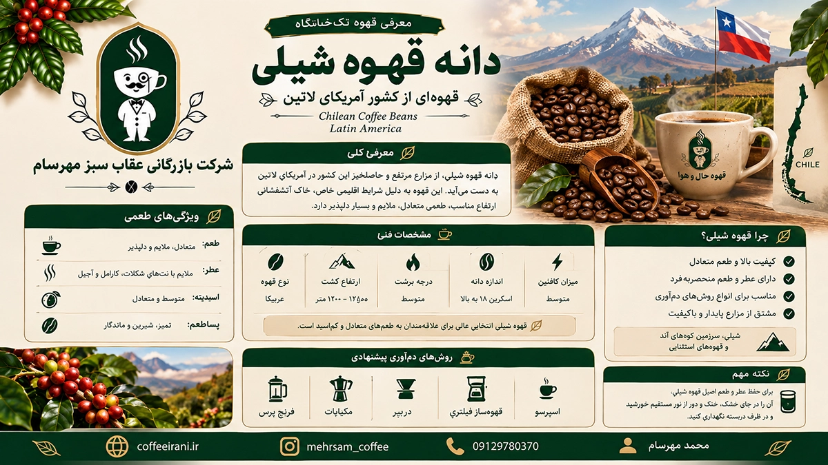 دانه قهوه شیلی قهوه ای از کشور آمریکای لاتین