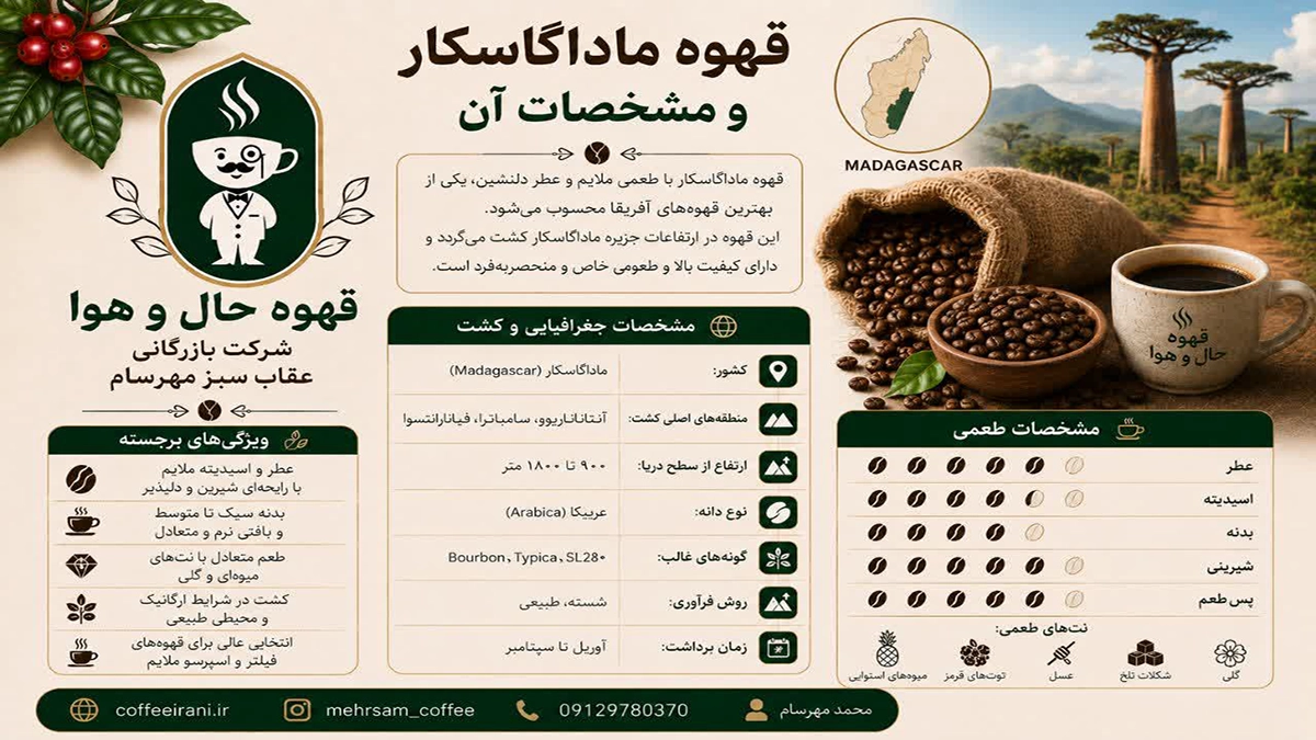قهوه ماداگاسکار و مشخصات آن